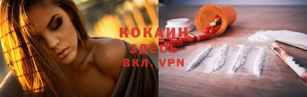гидропоника Дмитриев