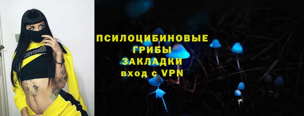 гидропоника Дмитриев