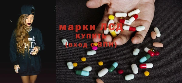 гидропоника Дмитриев