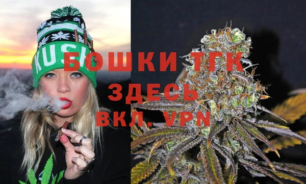 гидропоника Дмитриев